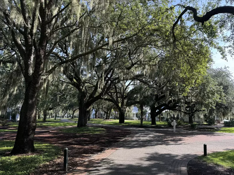 palmetto dunes resort